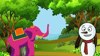 Animal Adventures Meet Ellie, Milo, Charlie, And Cody