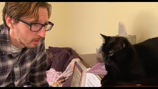 If Cats Could Talk - Celebrity Impressions