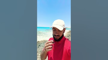 سورة النصر||محمد سعد الأزهري ..🎧 #لفتات #محمد_سعد_الأزهري #تلاوات