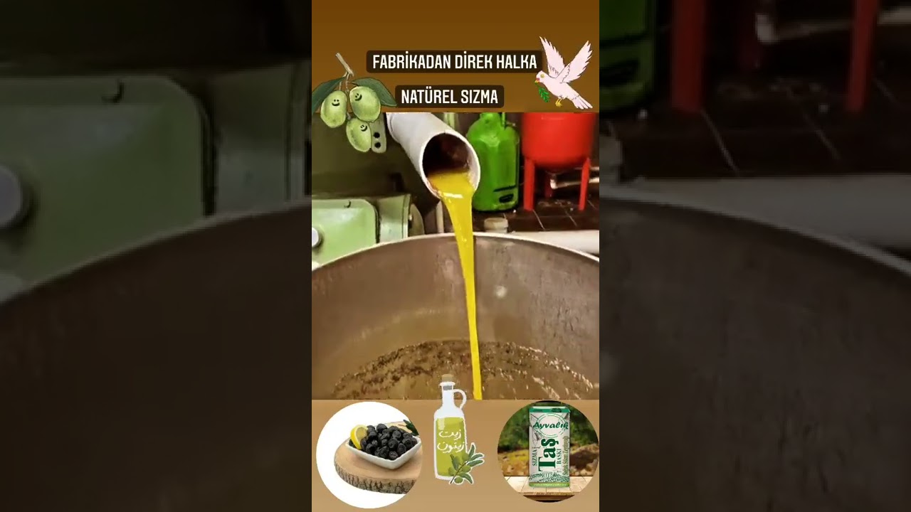 TAS BASKİ NATUREL SİZMA ZEYTİNYAĞI