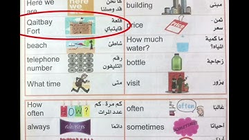 كونكت بلس أولى ابتدائي الوحدة الحاديةعشر/ الدرس الأول والثانى/connect plus 1 unit 11 lessons 1&2