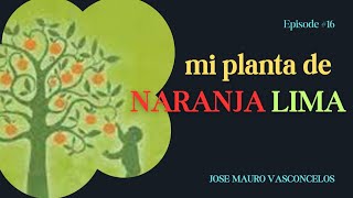 Mi Planta Naranja Lima Libro Ep