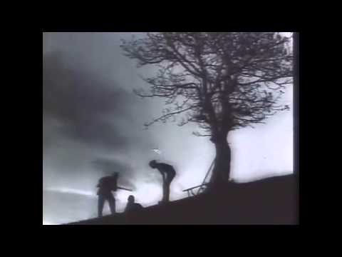 გამყიდე ხომ თხასავით ზურიკელა (მე,ბებია,ილიკო და ილარიონი)