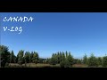 캐나다 일상 25개월 아이와 공원 산책하기, 데렉 더블데이 아버리텀 CANADA V LOG Derek Doubleday Arboretum #38 티유티비 브이로그