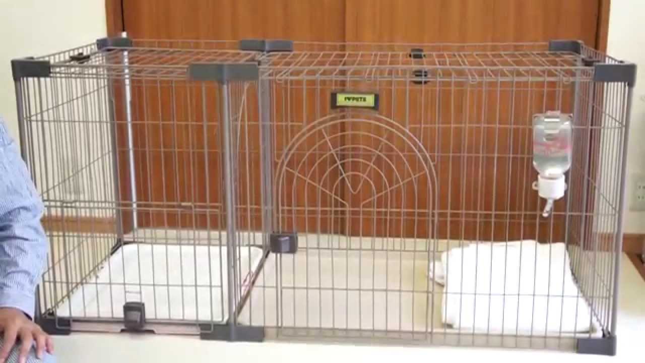 犬の飼育用品 ケージの選び方 しつけるサークル 静岡県浜松市のブリーダー Youtube