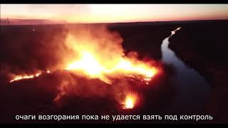 Пожар в Чернобыльской зоне отчуждения. Fires in the Chernobyl Exclusion Zone