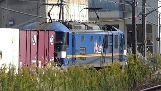 ★20241106 EF210形 通過 ＠枇杷島６