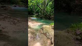 One of the most beautiful places you'll see in Jamaica?? #travelvlog #travel #jamaica