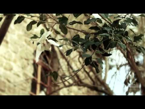 Moutasem AlAsali Nataqat Horofi نطقت حروفي معتصم العسلي