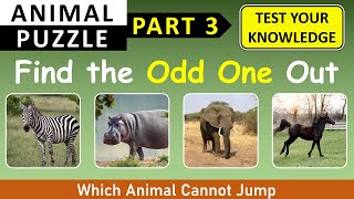 Find the ODD ONE OUT - GK Quiz on Animals: Part 3 | Choose the Odd one Out in this Animal Quiz screenshot 5