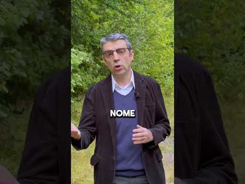 Ipotesi: Biancaneve