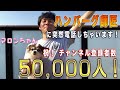 皆さんに感謝！ハンバーグ師匠にもアポなし報告。苦戦していたのに達成できた理由をお話しします！