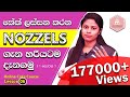 කේක් Nozzels ගැන හරියට දැනගමු(1 කොටස) - Working with Cake Nozzels - Lesson 06