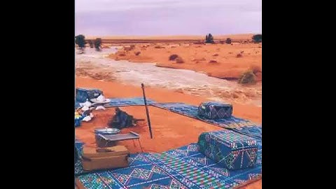 "إن الله وملائكته يصلون على النبي" تلاوه رائعه ارح قلبك بها.🌸🌿