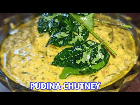Pudina coconut Chutney