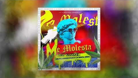 Me Molesta - La Santa Grifa (Yusak) X Grupo Codigo Rojo