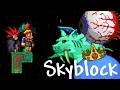 Terraria's NEW SKYBLOCK Mode!