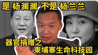 杨澜澜：器官捐赠之柬埔寨生命科技园