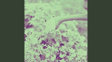 Remarkable Backdrops for Decompress Moment