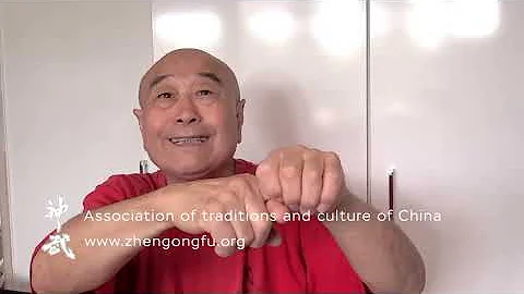 Zhen Gongfu