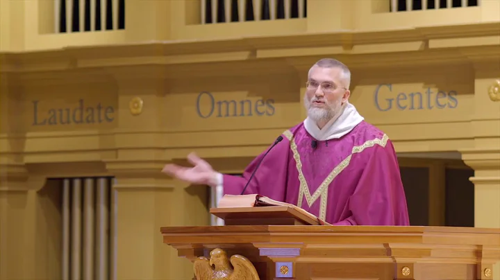 Mt. Carmel and the Brown Scapular w/ Fr.  Elias Ma...
