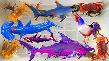 Kem Ốc Chanel ra bờ ao bắt con cua, con cá, cá đầu búa, cá mập cắn con rắn và cá sấu. Làm đùi gà KFC