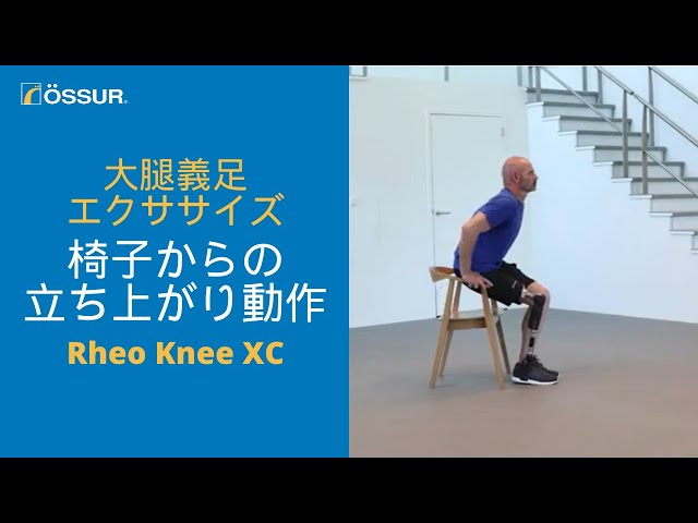 オズール/大腿義足エクササイズ/Rheo Knee XC】椅子からの立ち上がり