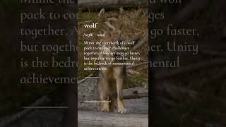 The Teamwork of a Wolf Pack - Motivation motivational selfhelp shorts wolves wolf wolfpack