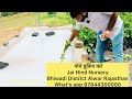 पोधे को रोग से कैसे बचायें, ताइवान पिंक, इलाहाबादी सफेदा,अर्का किरण अमरूद, निम्बू,अनार आदि कोरियर से