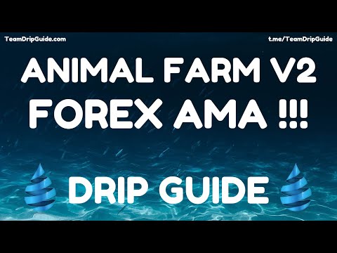 Drip Guide Live – AMA with Forex Shark!!!  Piggy Bank V2
