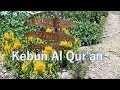 Kebun Tanaman Yang ada di dalam Al Quran.