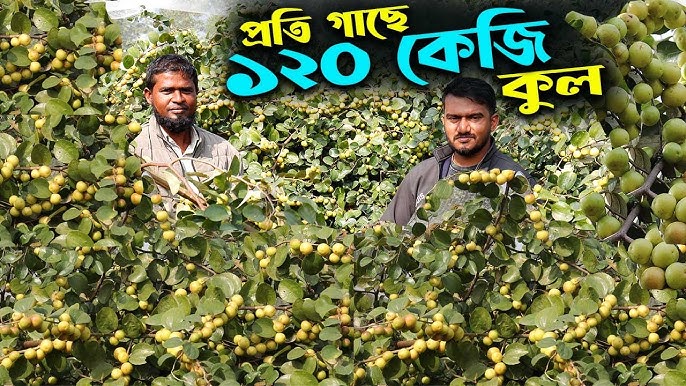 HD formatda porno partiyada navbatma-navbat sikish