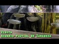 Acuario Fluvial de Zaragoza 2018