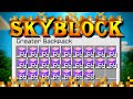 Hypixel SkyBlock Hardcore [42] Well that was expensive...