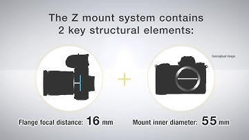 Z mount system in animation