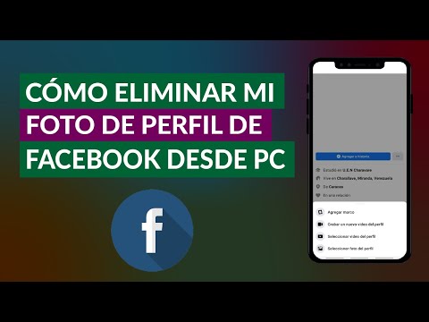 Video: Formas sencillas de obtener su Top 9 en Instagram: 13 pasos