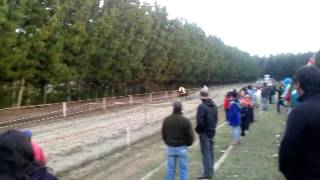 Patas blancas de lebu. Cancha de carreras Cañete