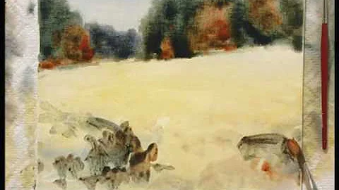 DVD - Acrylics The Watercolor Alternative with Cha...