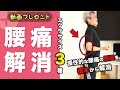 【腰痛解消】体操動画・無料プレゼント！「腰」の痛み・不調に悩んでいる方編！エゴスキュー体操【公式】