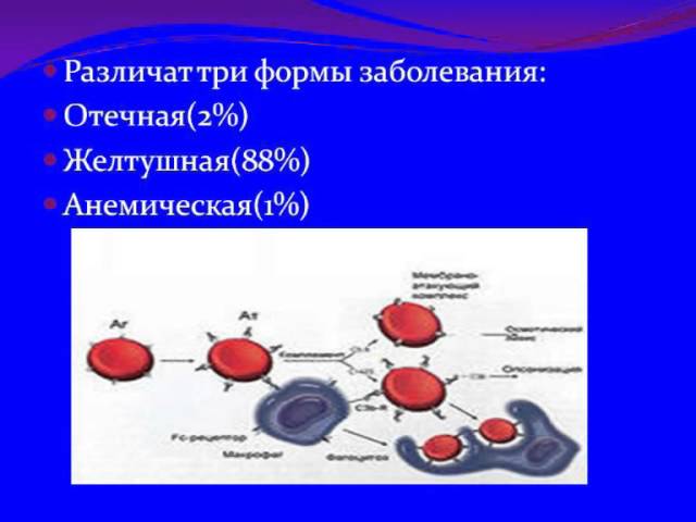 Диагностика ГБН
