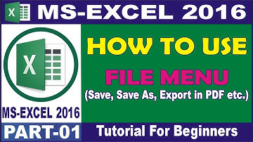 How to use File Menu in MS Excel 2016 Complete Course in Urdu Part 01 | #saleemskills