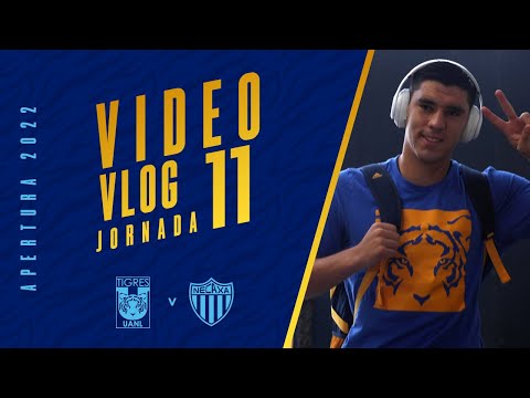 🎥 𝗩𝗹𝗼𝗴 𝗝𝗼𝗿𝗻𝗮𝗱𝗮