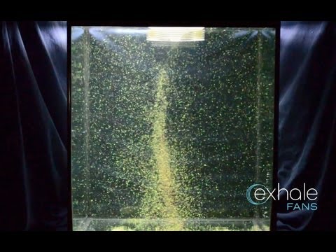 Extra Breezy: The Exhale Bladeless Ceiling Fan 4 YouTube player