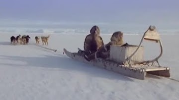 Reading the Snow | A Boy Among Polar Bears | BBC Earth