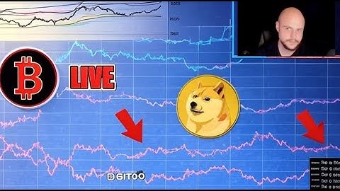 🔴 BITCOIN Q4 BULL MARKET STARTING OR BULL TRAP!? Q4 DOGE PUMP!?  Dogecoin Doge LIVE STREAM
