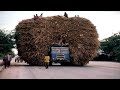 OS TRANSPORTES MAIS INACREDITÁVEIS DA AGRICULTURA