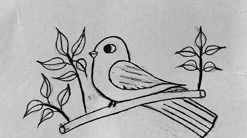 Beautiful Bird Drawing 🐦#drawing #art #creativity#birdlove #birdart  #viral #youtube 