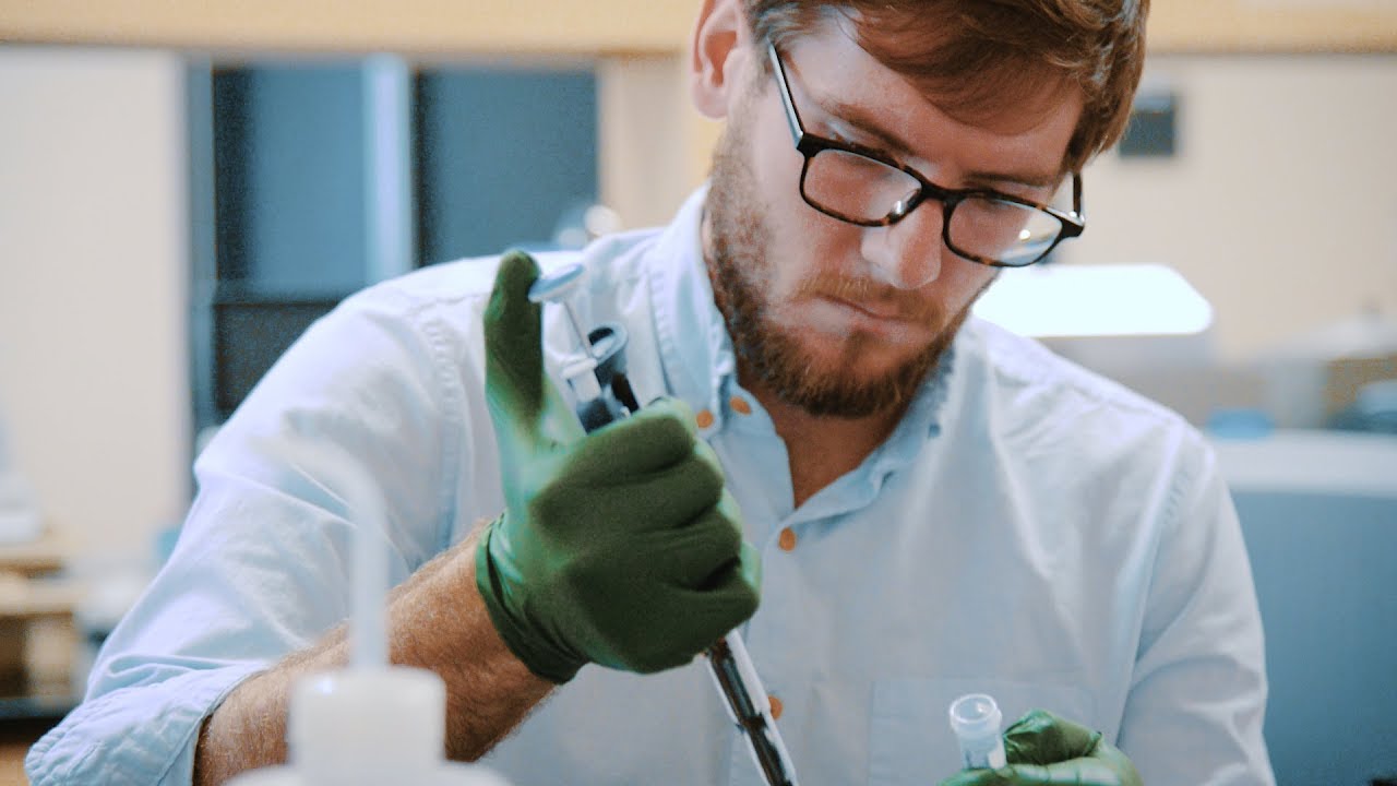 UF Biomedical Sciences Concentration: Physiology and Functional Genomics