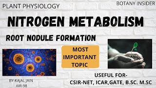 Nitrogen Metabolism | Nitrogen Cycle | Root Nodule Formation | CSIRNET JRF | GATE ||