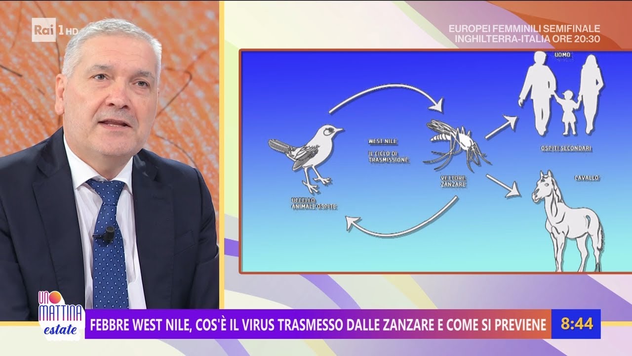 Febbre West Nile, il virus trasmesso dalle zanzare - Unomattina Estate 22/07/2025